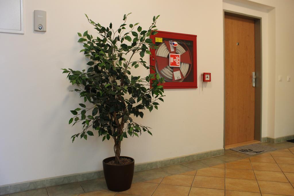 Apartment Promenada Podebrady Exterior photo